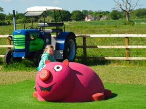 Playground Pig with Child