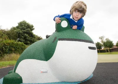 Playground Frog at the school